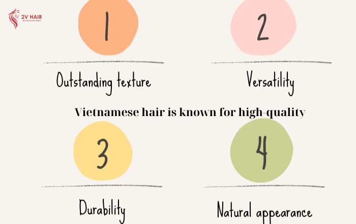 The exceptional quality of Vietnamese hair from 2V Hair Factory