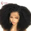 Afro-human-hair-wigs-1